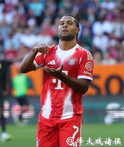 德甲-格纳布里破门齐尔克泽建功 拜仁2-0狼堡