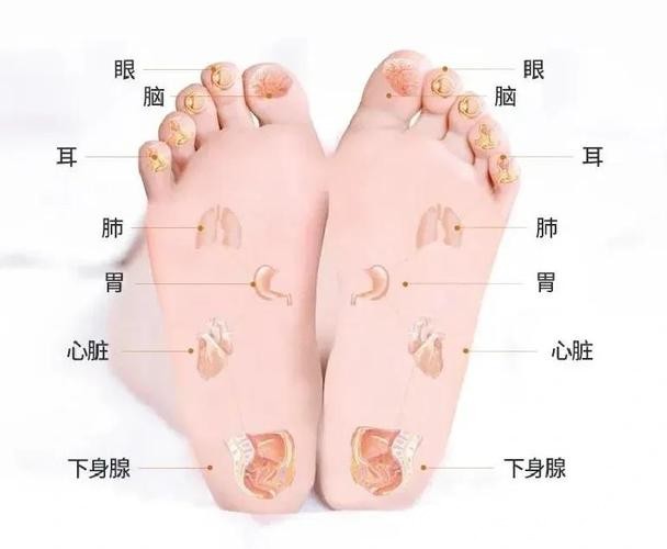 冬季简单又有效的养生方法,很多人居然做错了 冬季简单又有效的养生方法,很多人居然做错了